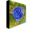 Trademark Fine Art Wendra 'Blue Rose' Canvas Art, 24x24 WL019-C2424GG